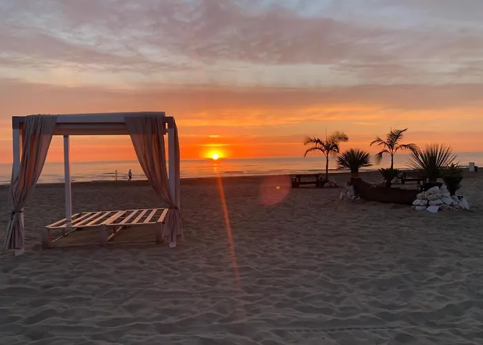 Berenice Hotel Rimini